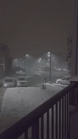 Strong Winds and Snow Hit Edmonton