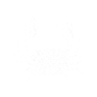 Scheldebrouwerij hello beer wave bier Sticker