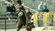 track & field wave GIF by GreenWave