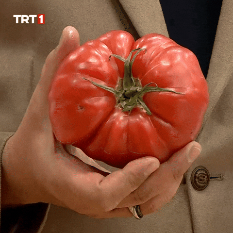 Angry Blush GIF by TRT