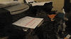 cat kitty GIF