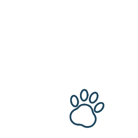 Sir Tom Dog Sticker by Sir Tom Treats