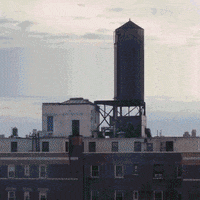 animation colors GIF by Ryan Seslow