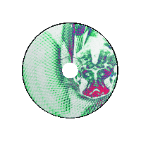 Baby Spinning Sticker