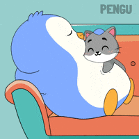 Week End Cat GIF by Pudgy Penguins