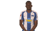 Hertha Bsc Football Sticker by Bundesliga