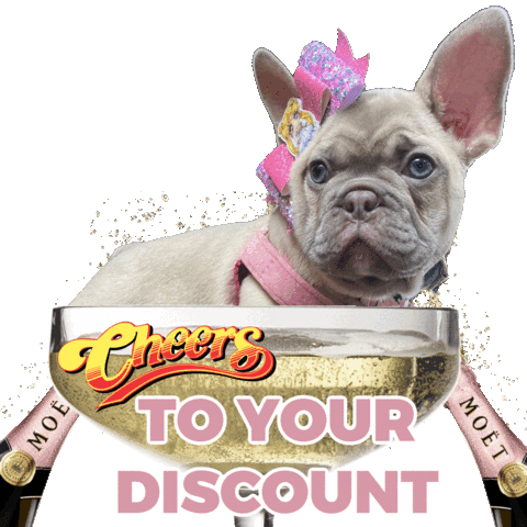 Celebrate French Bulldog Sticker by Pimp Yo Pets