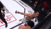 GIF by Legend FC