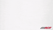 Austin Dillon Nascar GIF by Richard Childress Racing