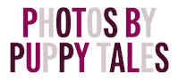 Puppy Love Dog Sticker by puppytales