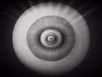 See Black And White GIF