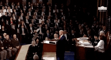 State Of The Union 2020 GIF by GIPHY News