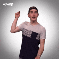 Show Stop It GIF by SWR3