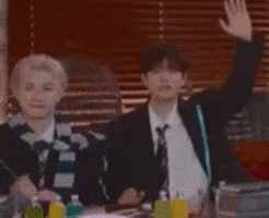 Stray Kids Chris GIF