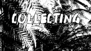 Collecting The Dust GIF by Four Rest Films