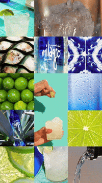 Mexico City GIF by Milagro Tequila