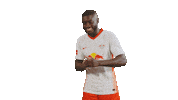 Dance Lol Sticker by RB Leipzig