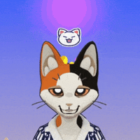 Cat GIF by Kitten Cup Studio