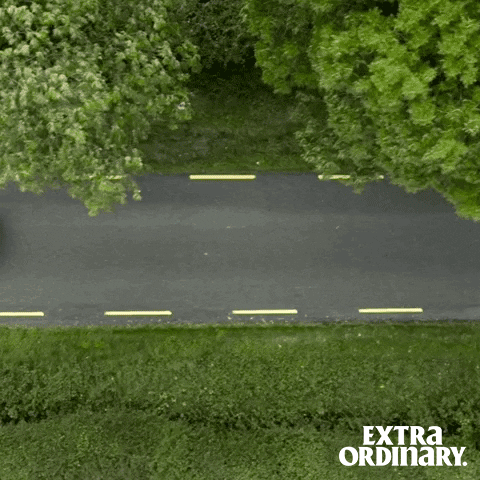 Extra Ordinary Movie GIF by Wildcard Distribution