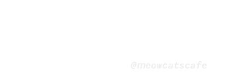 Aix-En-Provence Cute Cat Sticker by Meow Cats Café