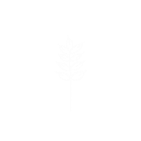 ywamherrnhut ywamherrnhut ywam herrnhut harvest dts harvestdts Sticker