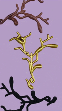 VeletaStudioLab veletastudiolab GIF