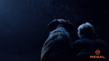 Call Of The Wild Dog GIF by Regal