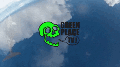 Ocean Mar GIF by Greenplace TV