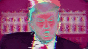 Donald Trump Glitch GIF