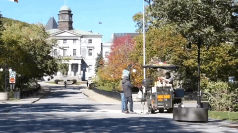 GIF by McGill University