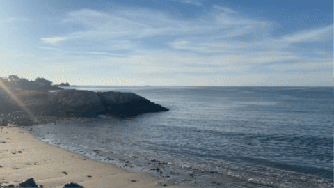 waldenboy giphygifmaker GIF