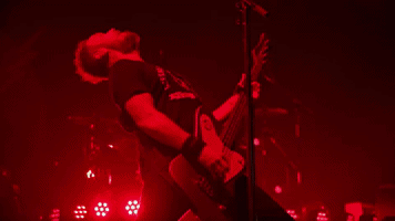 pearljam pearl jam eddie vedder jeff ament matt cameron GIF