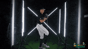 Tulane Rollwave GIF by GreenWave