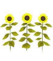 Summer Eyes Sticker by Lara Paulussen