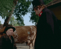 Film Cow GIF