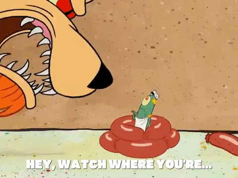 season 6 episode 3 GIF by SpongeBob SquarePants