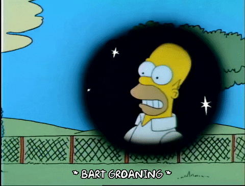 Season 1 GIF by The Simpsons