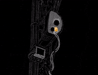 Staten Island Flower GIF by Yin Wrong