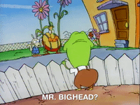 rockos modern life nicksplat GIF