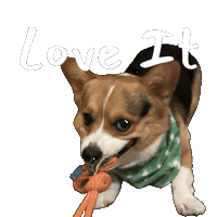 Corgi Love Sticker