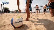 Volleyball GIF by Volo Sports