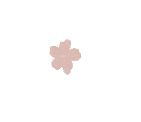 Cherry Blossom Flower Sticker