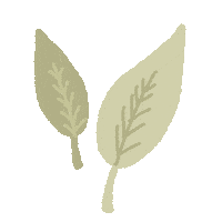 Flower 花 Sticker
