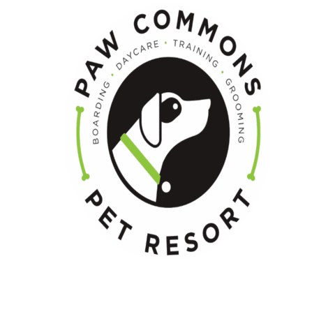 pawcommons giphygifmaker Sticker