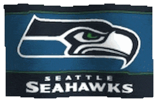 seattle seahawks GIF