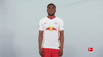 Happy Rb Leipzig GIF by Bundesliga