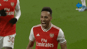 Celebration Reaction GIF by MolaTV