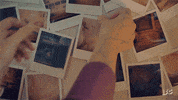 pig lol GIF by IFC
