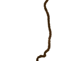 Fun Reaction Sticker by Green Generation