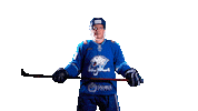 barys_official fun hockey kazakhstan khl Sticker